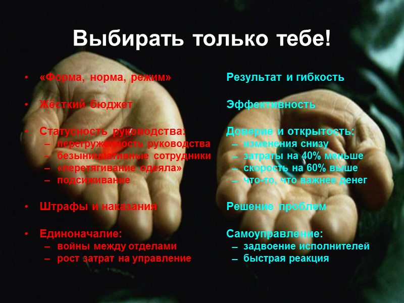 Выбирать только тебе! «Форма, норма, режим»  Результат и гибкость  Жёсткий бюджет 